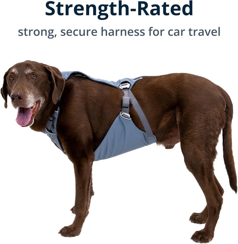 RUFFWEAR , Load Up Dog Car Harness, Padded Adjustable Travel Restraint with Universal Seat Belt Attachment and Strength-Rated Metal Hardware, for Road Trips in Cars & SUVs, Slate Blue, Small - Image 4